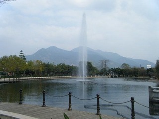 DSCF7374.jpg