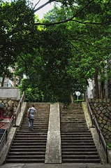 DSC_9799.JPG