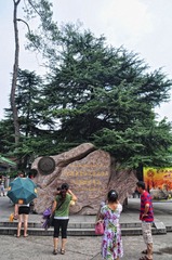 DSC_0447.JPG
