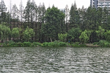 DSC_0526.JPG