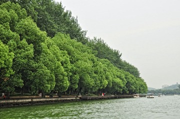 DSC_0546.JPG