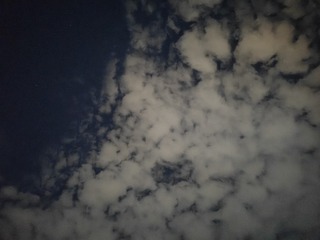 1000010242