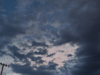 1000010557
