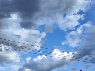 1000010452