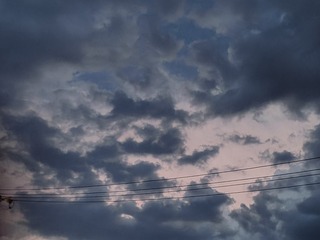 1000010558