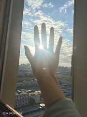 1000104628