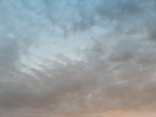 1000010164