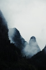 1295577