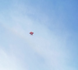 010.JPG