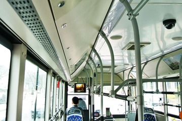 173.JPG