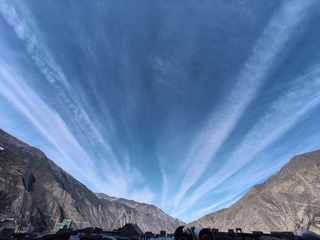 1000009806