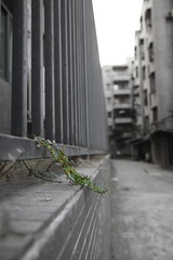 IMG_2383.jpg