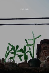 IMG_2386.jpg