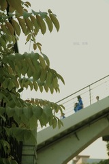 IMG_2435.jpg