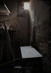 IMG_4314.jpg