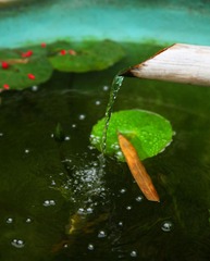 IMG_4761.jpg