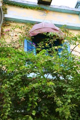IMG_4832.jpg