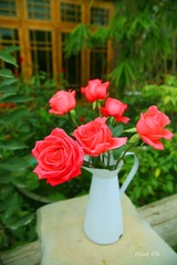 IMG_4760.jpg