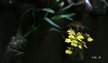 IMG_4810.jpg