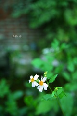 IMG_4827.jpg