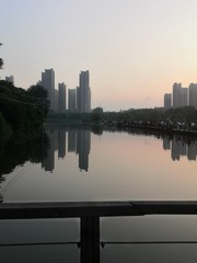 2516481