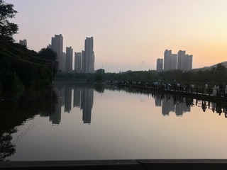 2516482