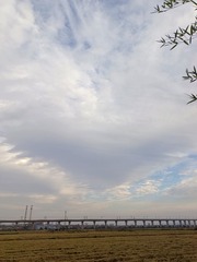 1000030362