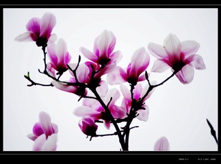 未命名20130310_021