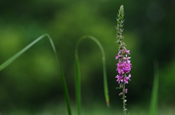 未命名20130707_026
