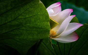 未命名20140612 210-编辑