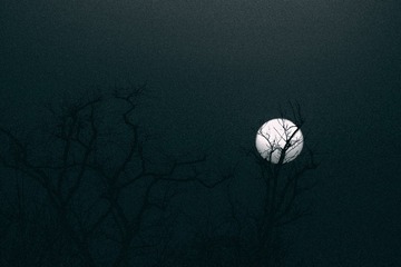 IMGP5537_