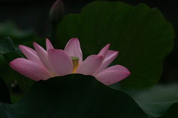 001