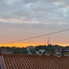 1000013165