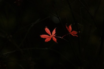 358125