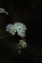 393372