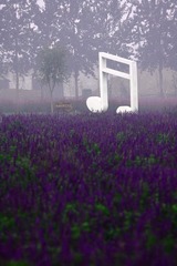 紫色音符