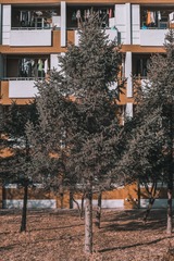 487851