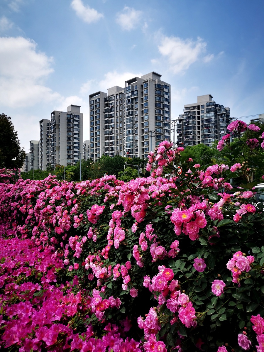 上海彩虹湾公园