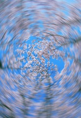 1000160020