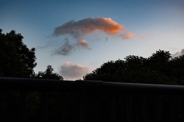DSC_0873