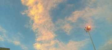 1000022165