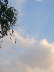 6840478