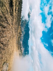 1000017361