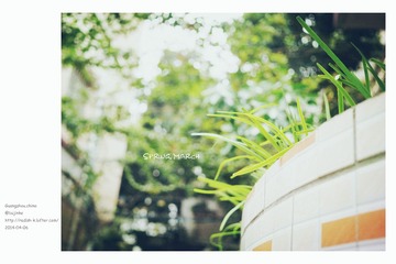 DSC08430_
