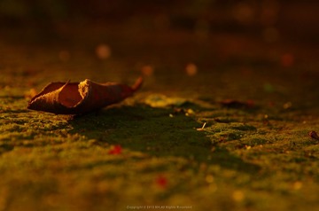 MHPT5427 by mh.jpg