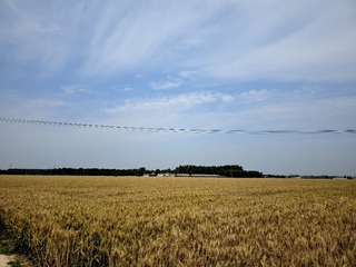 428854