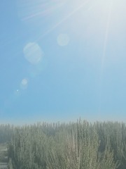 539412
