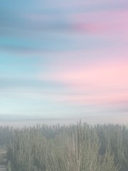 539413