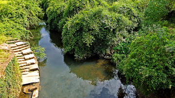 P1100176
