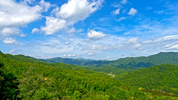 P1100077a